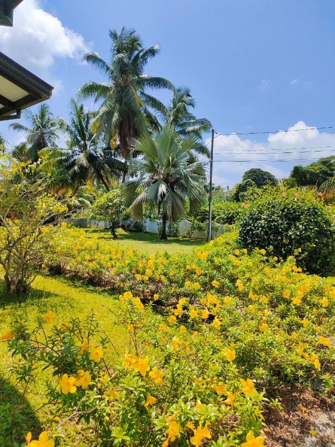 Villa Luana Yuna Au Cap Bagian luar foto