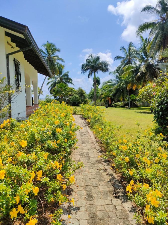 Villa Luana Yuna Au Cap Bagian luar foto