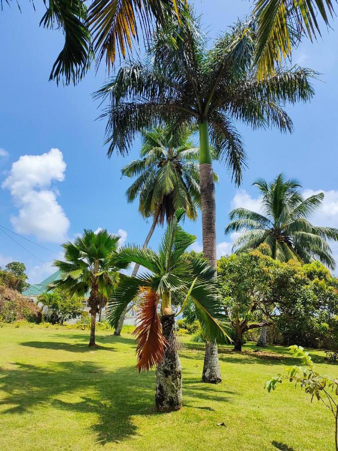 Villa Luana Yuna Au Cap Bagian luar foto