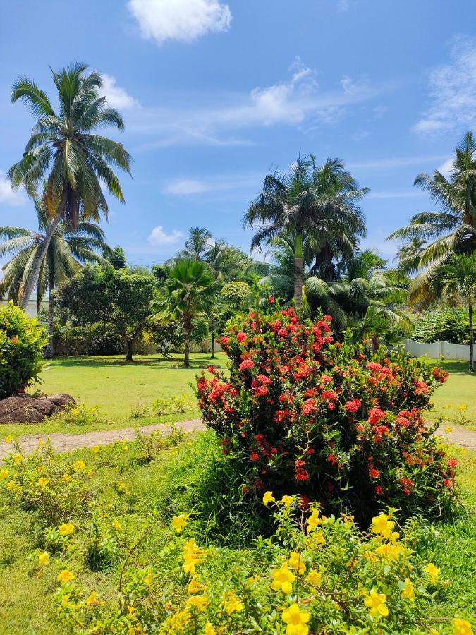 Villa Luana Yuna Au Cap Bagian luar foto